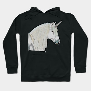 Unicorn Magic, Pure and True- Dark Grey Hoodie